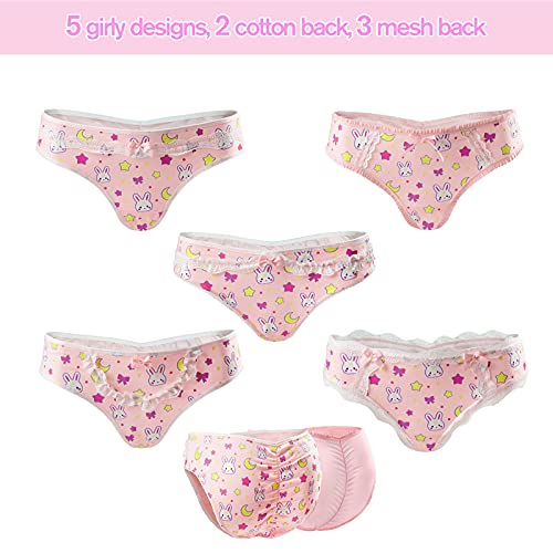 Littleforbig Women's Ladies Soft Cotton Underwear Comfortable Hipster Briefs 5 Pack Panties Set - Usagi Pattern2