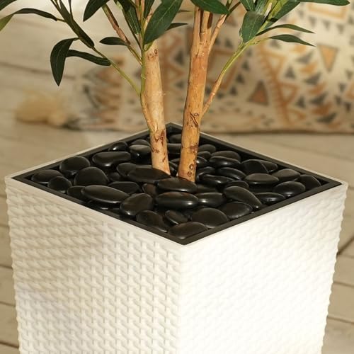 Artificial Olive Tree 5FT Faux Olive Tree - Adjustable Branches UV Resistant with White Taper Planter and Pebbles - Faux Plants Indoor for Living Room, Office Decor and Bedroom - Image 5