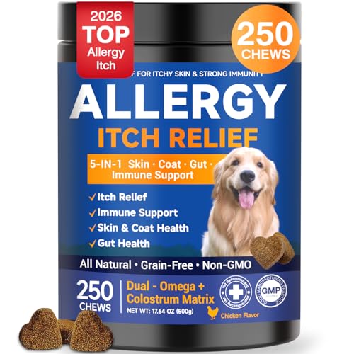 BFDEREN Dog Allergy Chews,is Omega 3 Human,Anti Itch Relief for Dogs Itching Skin Relief and Aller Immune Pet Multivitamin Allergy Chews Coat Licking Supplement Pills Meds Treats 250 Bites for Dogs