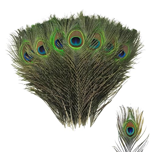 25Pcs Peacock Feathers Large Feathers Natural Feathers Peacock Tail Feather for Wedding Christmas Party Decoration Vase Decoration Feathers Peacock Costume DIY Art & Craft