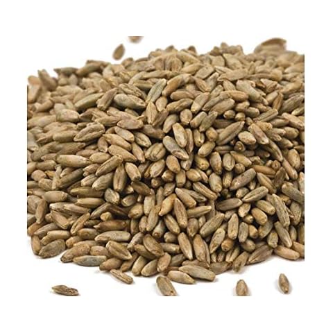 10 Lbs Non-GMO Winter Rye Seeds - CZ Grain Cover