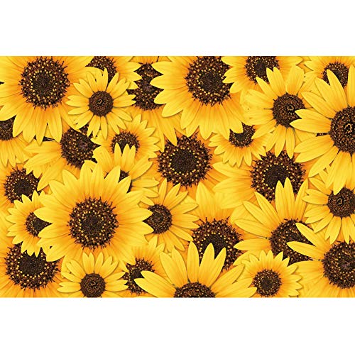 Baocicco 10x8ft Sunflower Backdrop Photography Yellow Flowers Floral Photography Background Happy Birthday Spring Summer Activities Decorations Outdoor Wedding Decors for Kids Adult Props Video