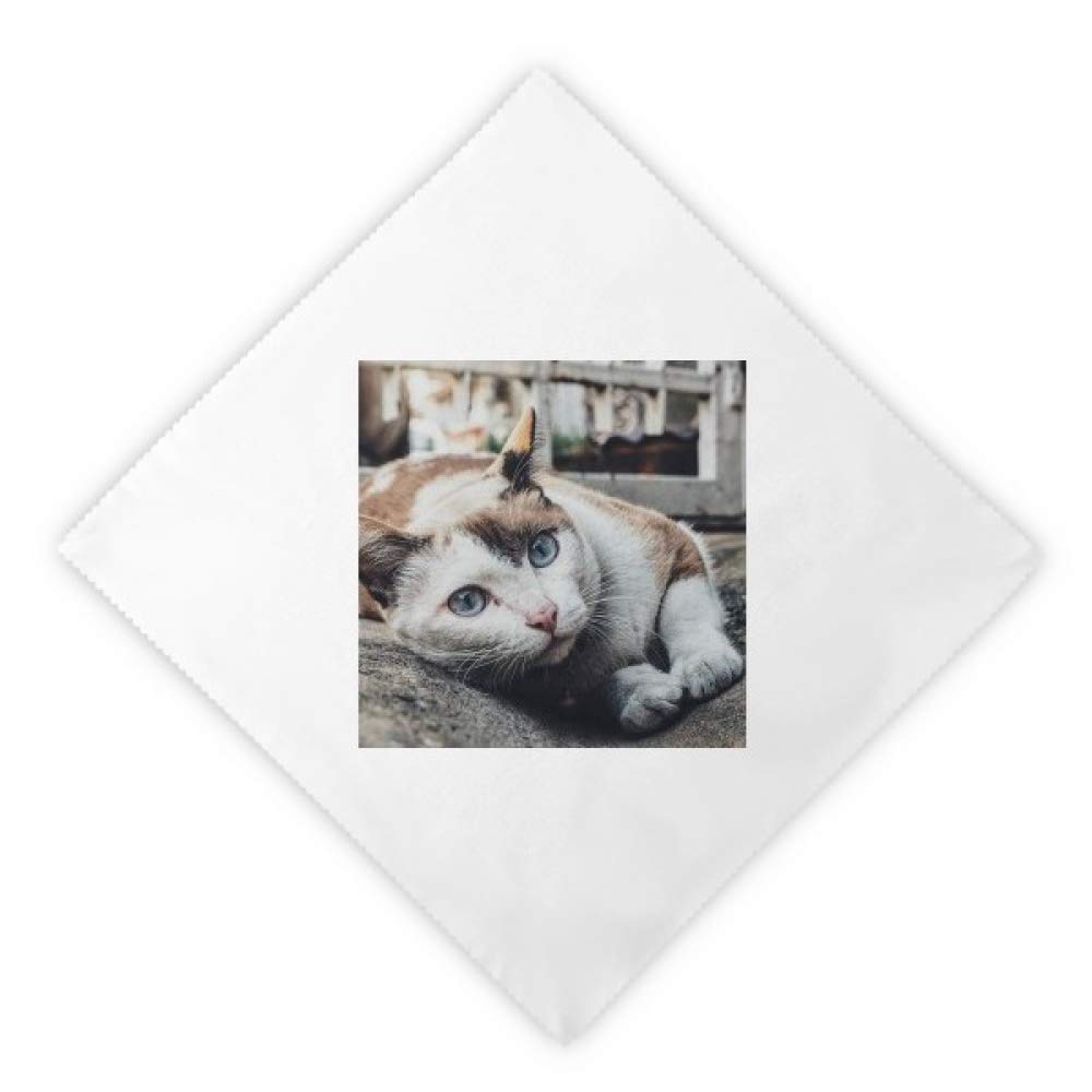 Servilletas de tela reutilizables blancas con gato colorido para comedor