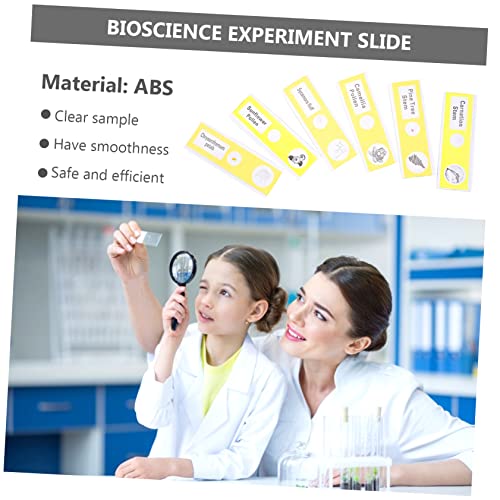 FUNOMOCYA 12pcs Glass Slide Microscope Slide for Kids Plastic Prepared Microscope Slides Child Botany 7