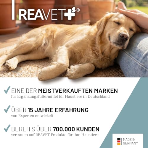 ReaVET Senior Complete Pulver für ältere Hunde, Seniorenhunde – zur Unterstützung von Gedächtnis- & Herzfunktion, mit Grünlippmuschel & Taurin für Beweglichkeit & Vitalität im Alter I 250g