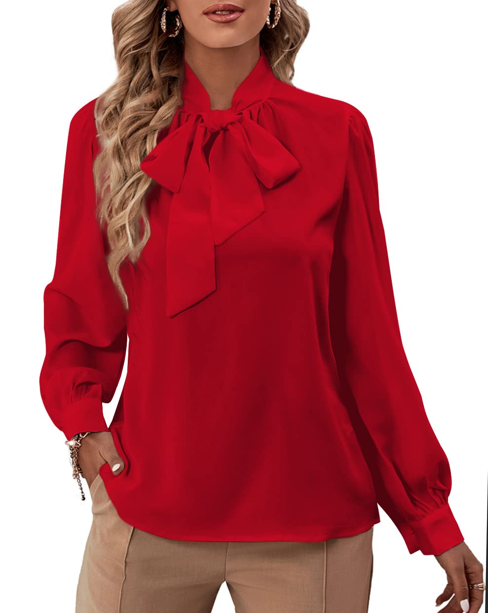 Rooscier Women's Bow Tie Neck Long Sleeve Buttton Cuff Chiffon Elegant Business Dressy Casual Blouse Shirt