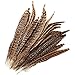 Produktbild MWOOT 20 stück Fasan Federn, 25-30cm/ 10-12 Zoll Länge Fasan Schwanzfedern, Hutfeder, Natural Craft Feather