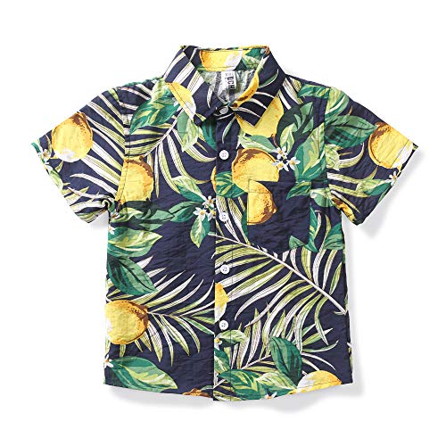Phorecys Kids Big Boys Hawaiian Shirts Tropical Tops Button Down Short Sleeve Aloha Shirts