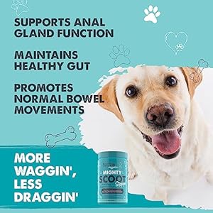 Mighty Paw Waggables Mighty Scoot (Made in USA) | Dog Digestive Support Anal Gland Chews. Dog Anal Gland Scoot for Dogs. Beet Pulp & Pumpkin Dog Fiber Supplements. Pet Bowel Gut Health (120 Count)