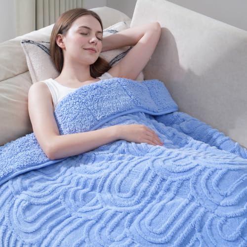 Image of Drewin Queen Size 15lbs Weighted Blanket for Adults, Soft Cozy Turtleback Sherpa Weighted Blankets for Sleeping and Calming, Thick Bed Blanket for Couch Bed, 48 x 72 inches, Sky Blue