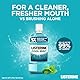 Listerine Mentol Mundspülung, 1- er Pack (1 x 1L)