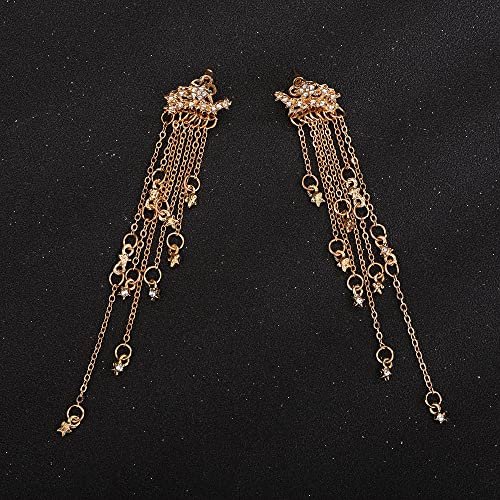 Denifery Shining Stars Tassel Earrings Hanging Exquisite Earrings,for Women and Girls4