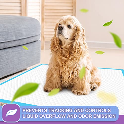 Image of IMMCUTE Puppy Pee Pads 22 inchx23 inch-80Count | Dog Pee Training Pads Super Absorbent & Leak-Proof | Disposable Pet Piddle and Potty Pads for Puppies | Dogs | Doggie| Cats | Rabbits