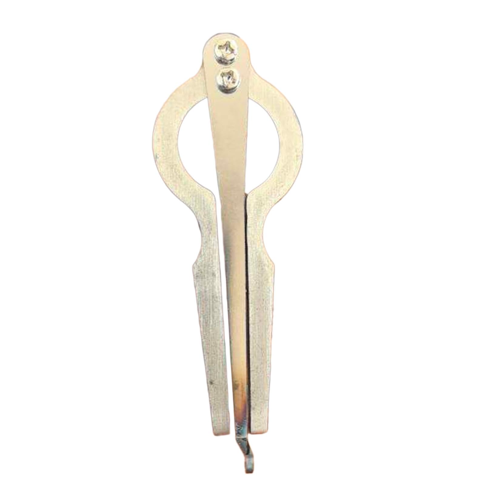 Colcolo Arpa de boca, instrumento musical profesional, fácil de tocar, mongol, ruso, hermoso sonido para niños y adultos, arpa de boca tradicional.