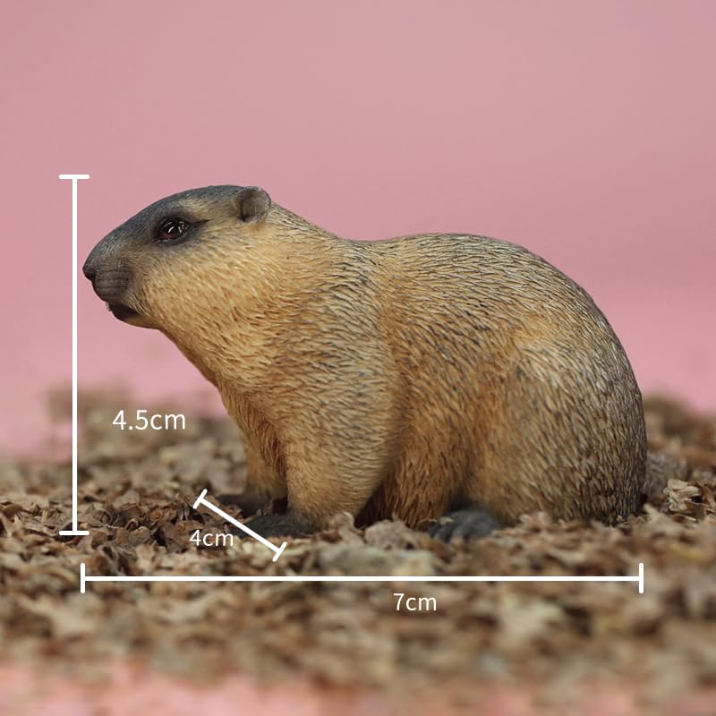 Marmots statue AMITD pour personnaliser une décoration rustique - 2