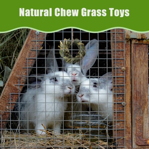 Image of 6PCS Timothy Hay Toy for Rabbits Bunny Chew Toys for Teeth Timothy Hay Rings for Small Animals Guinea Pigs Chinchillas Hamsters Bunnies Digestion Care