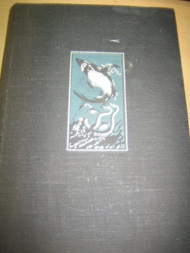 Das Geheimnis zweier Ozeane Amazon.de Bücher