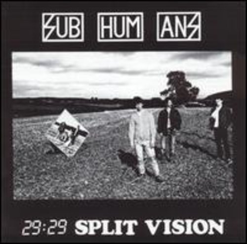 29 29 Split Vision