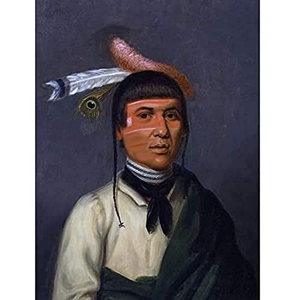 Inman Chief No-Tin Chippewa Native American Portrait Art Print Canvas Premium Wall Decor Poster Mural