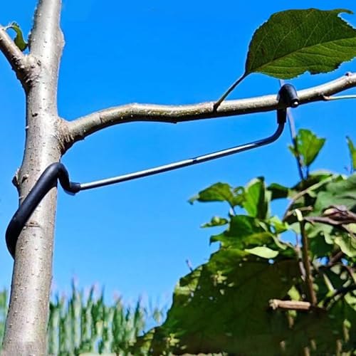 Fruit Tree Branch Spreaders 20PCS Fruit Tree Limb Spreaders Branch Spreader for Fruit Trees Durable Solution Tree Support Branches Tree Branch Spreaders for Fruit Trees New Branches (7 inches)