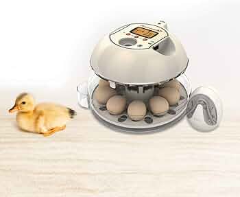 Rcom 10 孵卵器　デジタル卵温度管理器 Rcom 10 孵卵器 デジタル卵温度管理器 Amazon.co.jp: アールコム
