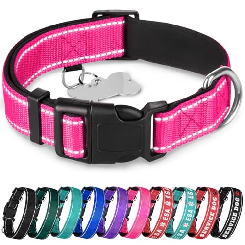 TECEUM Reflective Dog Collar Hot Pink M Extra Soft Padding Basic Nylon Pet Collar Quick Release Buckle Fits Small Medium and Large Dogs Puppies Cats ESA & Service Dog Options