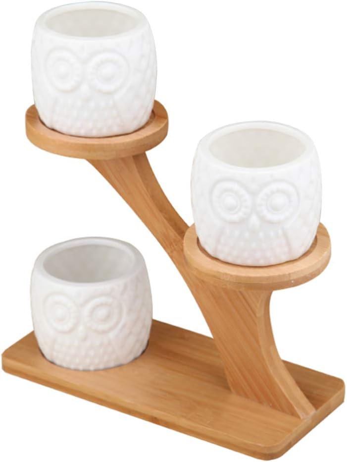 Angoily Ceramic Succulent Planter Pot with Wood Rack Small Planting Pot Planter for Garden Balcony Patio Home Desktop