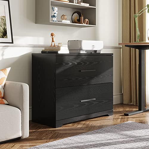Devaise 2 Drawer Wood Lateral File Cabinet With Anti-Tilt Mechanism, Storage Filing Cabinet For Home Office, Black #TOP1