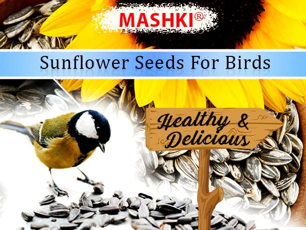 Sunflower Seeds for Bird, Sunflower for All Birds Food (250 Grams) (B091P6RGRP) Amazon Price History, Amazon Price Tracker