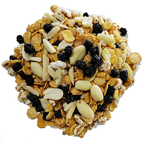 High Protein BIO Müsli mit Chia Samen Aroniabeeren und Hanfsamen I 600g