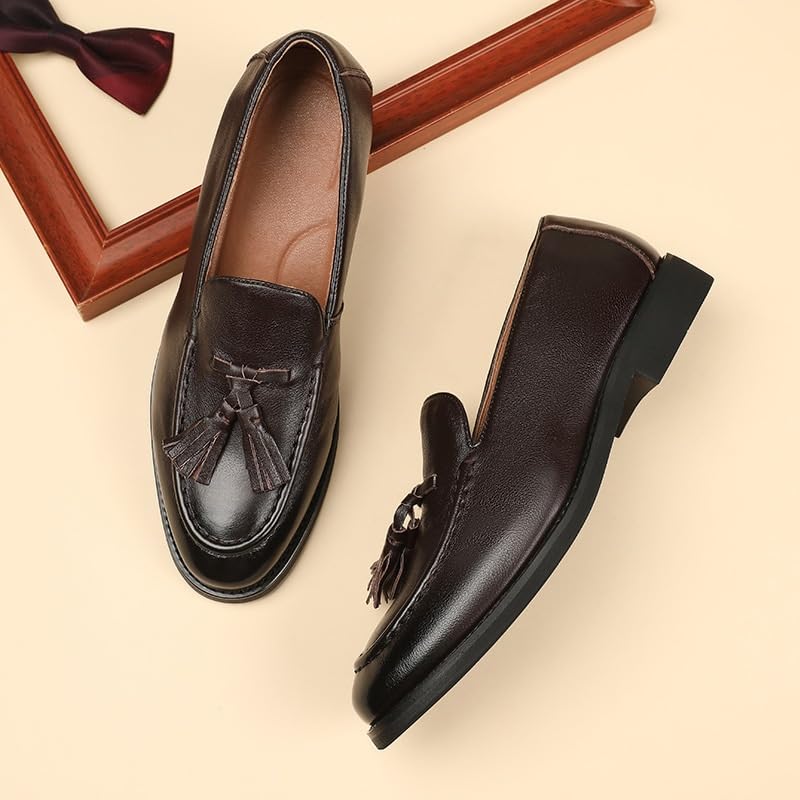 Men's Tassel Loafers Casual Business Leather Shoes Pointed Toe Slip-on Office Dress Shoes(D,10)2