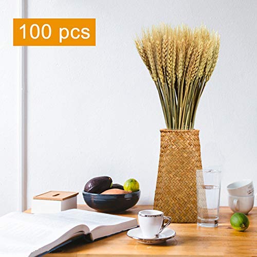 Pomeat Wheat Stalks, 100Pcs Dried Wheat Stalks Golden Dried Natural Wheat Sheave Bundle