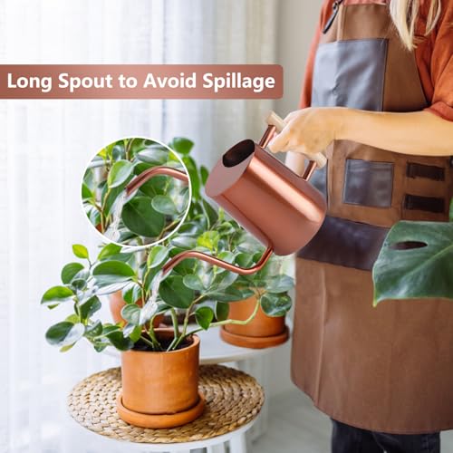 Image of Watering Can Indoor Plants, 35oz Small Stainless Steel Metal Watering Can Modern Decorative Watering Pot with Long Spout for Indoor House Plant Bonsai Garden Flowers (Copper)