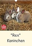 papiere rex rs 450 PERFEKTES GESCHENK - Unsere Kalender sind als Geschenk für den Freund, die Freundin, den Mann, die Frau, Ehemann und Ehefrau, für den Jahrestag, Geburtstag, den Hochzeitstag, zur Verlobung, zum Einzug, für Kinder und Erwachsene, für frisch Verliebte oder ein altes Ehepaar, für Oma und Opa, für Papa und Mama, für jung und alt geeignet.