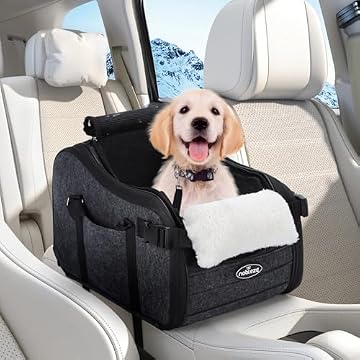 car seat for dogs
