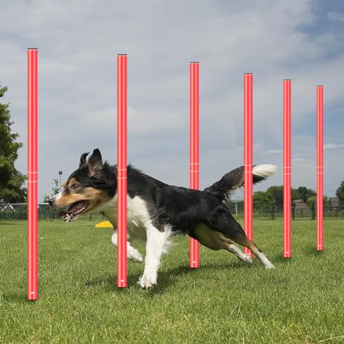 YGORTECH Slalomstangen-Set für Fußball, Agility-Training, inklusive Stangen, 6 Stück, Agility-Leiter, 10 Fußballkegel, Springseil für Geschwindigkeitstraining, Fußballtraining, Basketball und Fitness