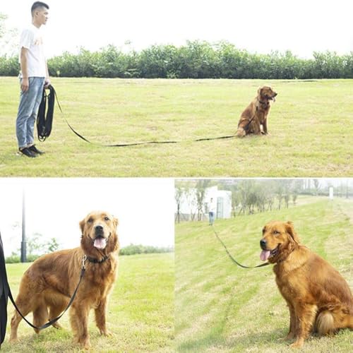 Dubest Schleppleine für Hunde,5M 10M 20M 30M Hundeleine Ausbildungsleine mit Weich Handschlaufe und Karabiner Robuste Nylon Trainingsleine für Kleine bis Große Hund (5M, Schwarz)