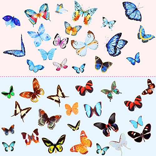 Set de Pegatinas Naturales Flores Secas Presionadas y Mariposas miniatura 5