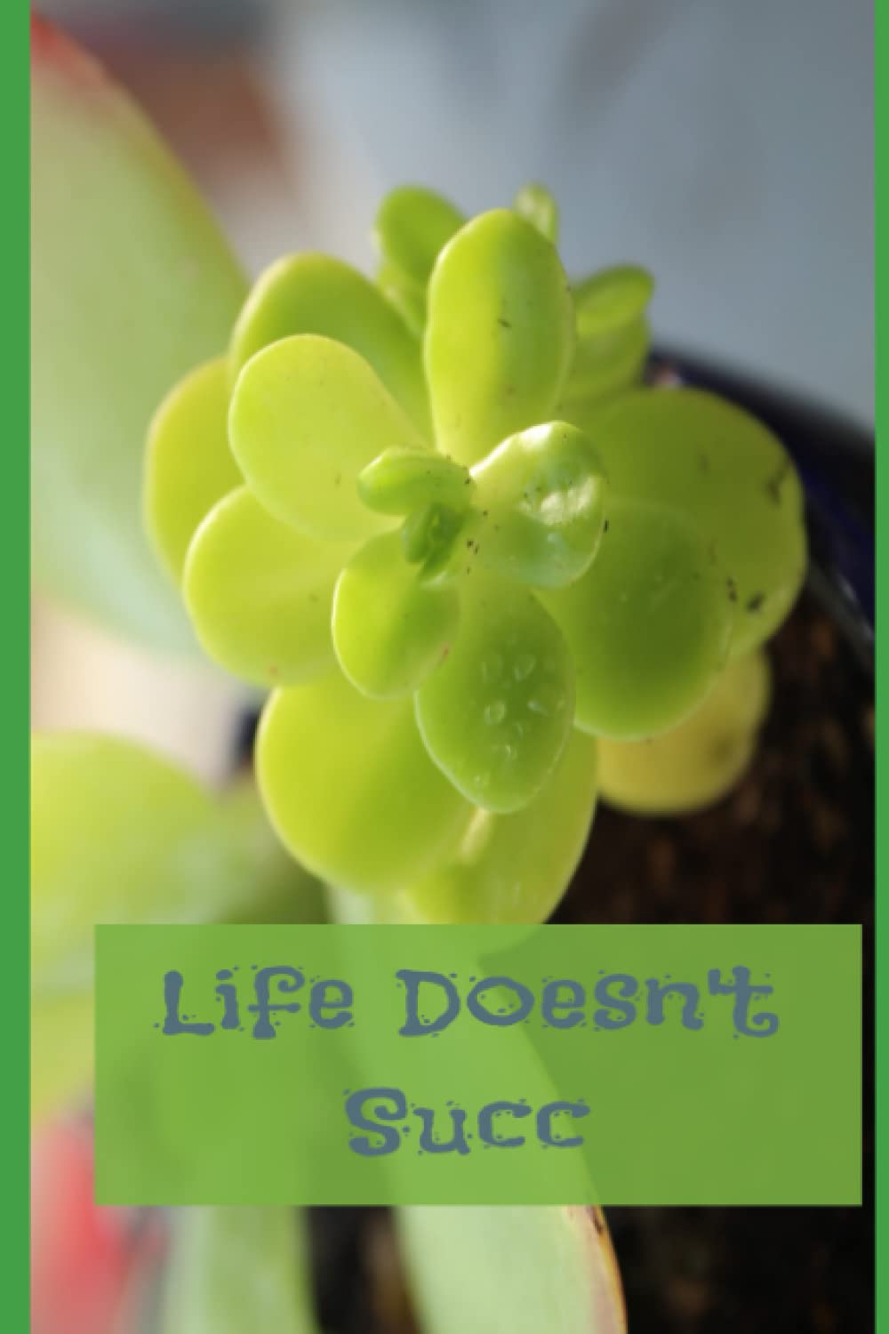 Life Doesn't Succ
