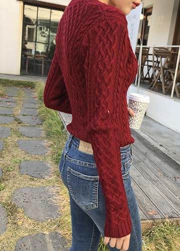 v28 Women Crew Neck Knit Stretchable Elasticity Long Sleeve Sweater Jumper Pullover3