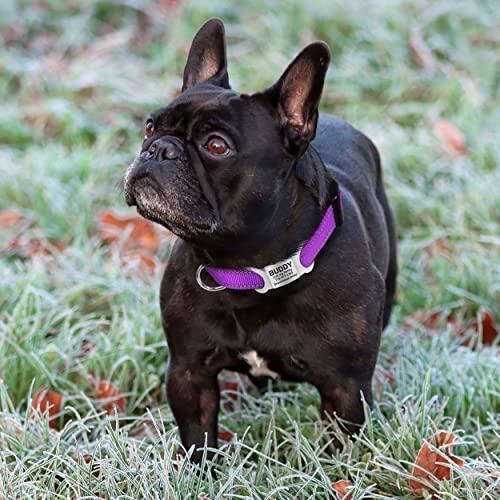 TagME Reflective Nylon Dog Collars, Adjustable Classic Dog Collar with Quick Release Buckle for Small Dogs, Purple, 5/8… - Image 3