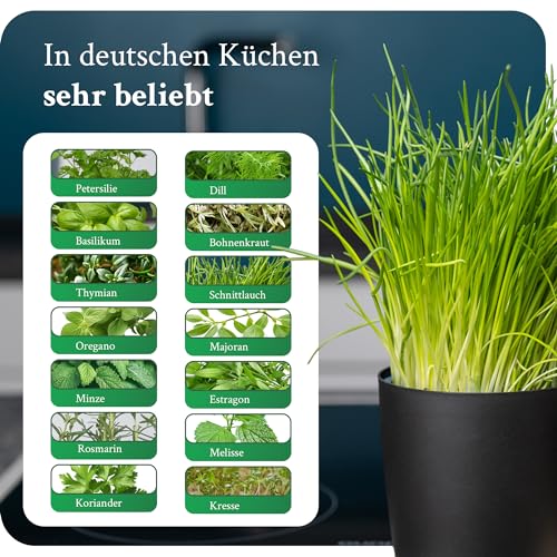 Novaliv-Stilvolle-Krauterstation-2er-Set-mit-Holzunterlage-und-2-Krautertopfe-fur-Jede-Fensterbank-Fur-frische-Kuchenkrauter-Krautergarten-fur-die-kuche-Krauterbeet-Indoor-Blumentopf-Ubertopf | Dealmeister.io Alt tag für bilder post titel