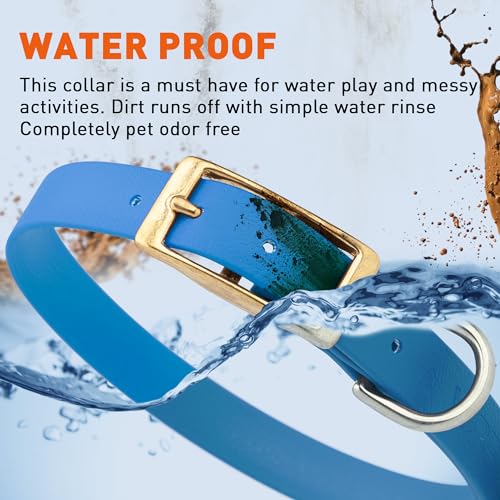Image of Viper Biothane Heavy Duty Waterproof Dog Collar Strong Coated Nylon Webbing w /Solid Brass Hardware Odor-Proof Easy to Clean High Performance Fits Small Medium or Large Dogs, Cerulean Blue