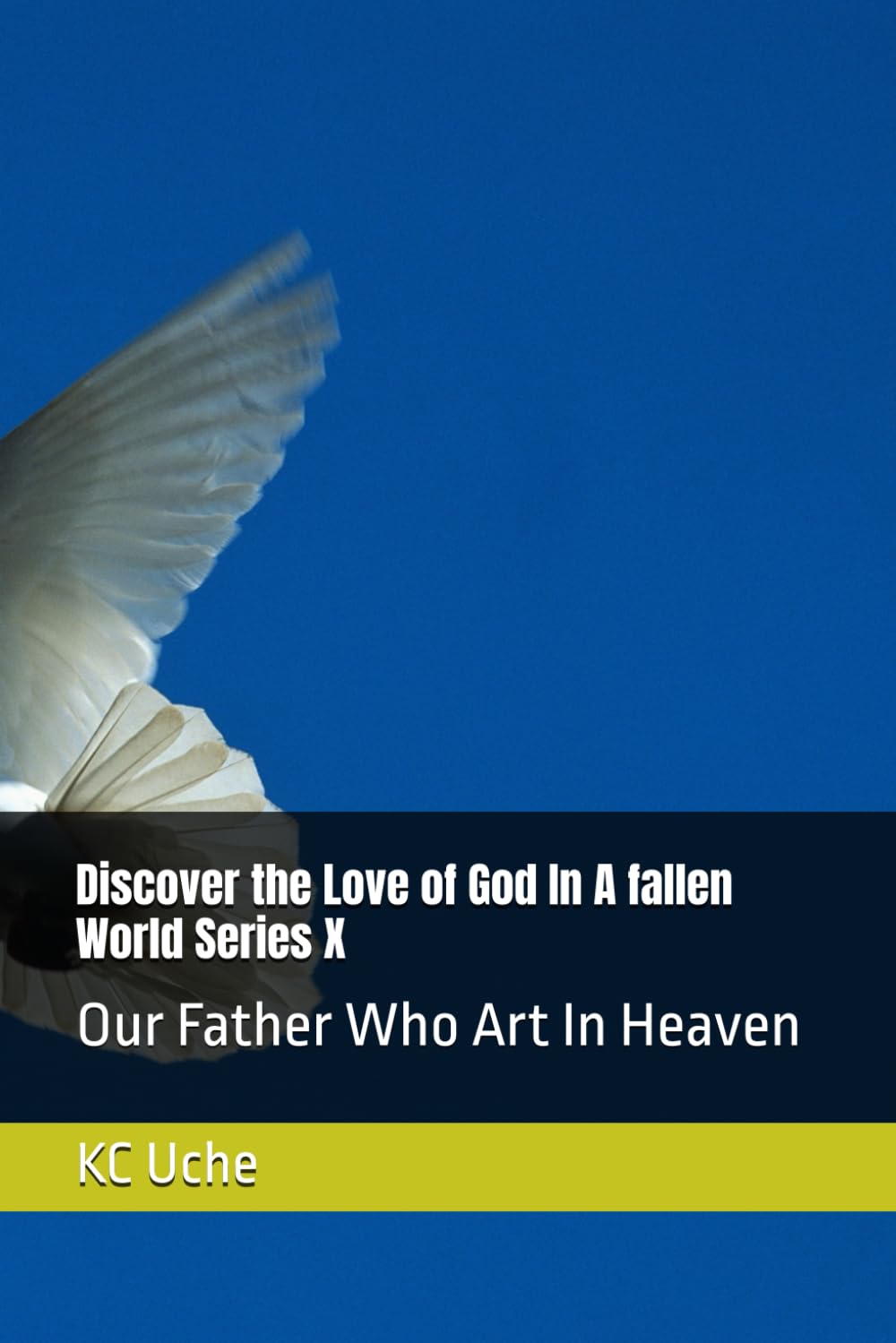 Discover the Love of God In A fallen World Series X: Our Father Who Art In Heaven