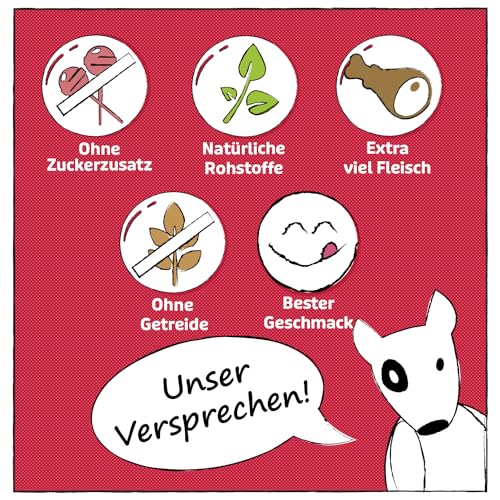 SnackOMio – Premium Hundesnack – zarte Hühnerbrust Filetstreifen, getreidefrei, 2er Pack (1 x 500g)