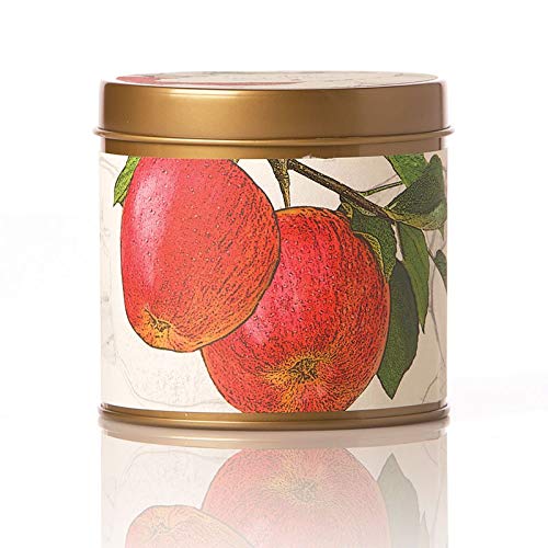 Rosy Rings Signature Tin - Spicy Apple