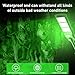 Orsong 2 Pack Hog Hunting Lights, Solar 9000 Lumens Green Light for Hunting Hogs,Hog Lights Motion Activated Feeder for Night with 20