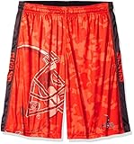 NFL Big Logo Polyester Short