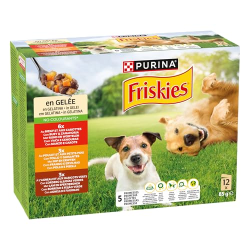 Purina Friskies Cibo umido per cani in gelatina con pollo, agnello e bue, 1 confezione da 12 buste da 85 g