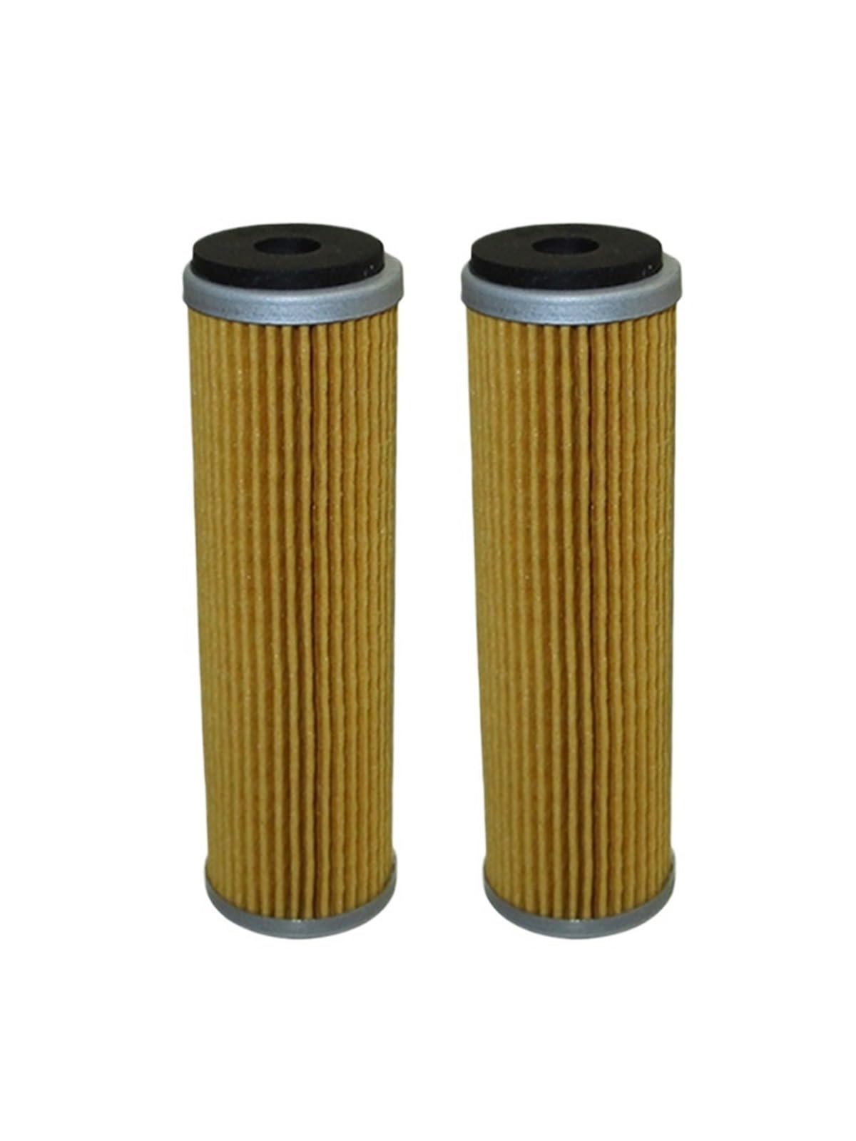 1 Uds NC250 filtro de aceite 250 PR5 AKT 250 TT CSC 250 RX3 RC3 ZS250GY ZS250J 500 M1NSK TRX300i(2pcs)